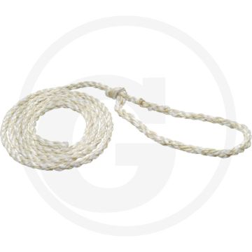 Grand licol à boucle, longueur 3200 mm