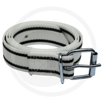 Markeringsband zonder leer, voor koeien, met gesp - groen, 1200mm x 40mm