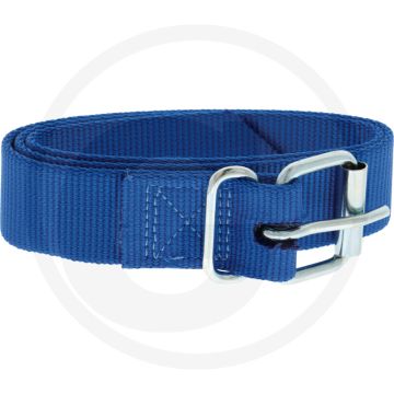 Markeringsband pp, voor kalveren, met rolgesp - blauw, 900x40mm