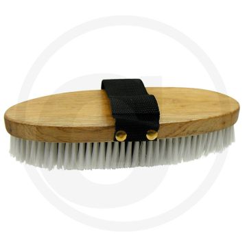 Borstel gelakte houten rug, met band, borstel van pvc - zachte borstelharen