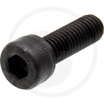 Boulons de plaque d'immatriculation avec hexagone intérieur, 10.9, filetage m8 longueur : 25 mm - 10 pièces