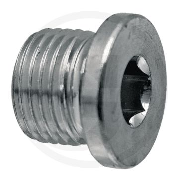 Binnenzeskantbout binnenzeskant 15 mm lang ht 1