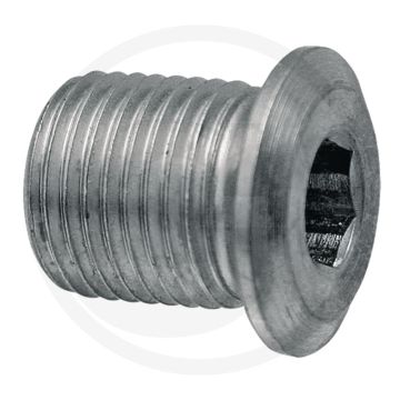 Binnenzeskantbout binnenzeskant 20 mm lang type: ht 1