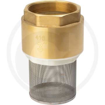 Clapet anti-retour 3" filetage intérieur - raccord : 3" filetage intérieur