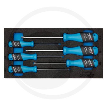 Gedore schroevendraaierset, btx ct-module 6-delig, maten t8-t30.