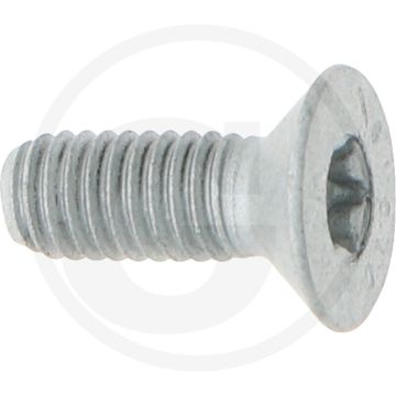 Vis à métaux (plate) - tête torx