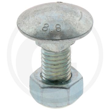 Nummerplaatbouten 12 x 29 mm - kwaliteitsklasse 8,8
