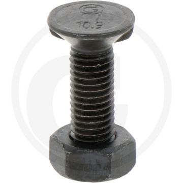 Blister ploegbout m10x35-10,9 vpe12 - rond met 2 nokken