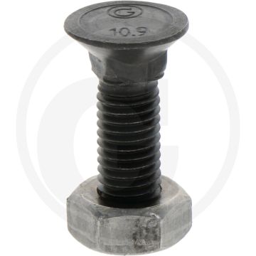 Blister ploegbout m10x35-10.9, rond met vierkante kop