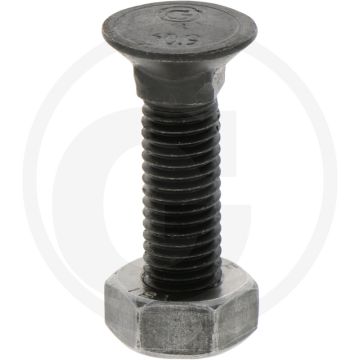 Blister ploegbout m10x40-10.9, rond met vierkante kop