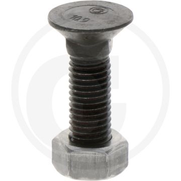 Blister ploegbout m12x45-10.9 rond met vierkante kop