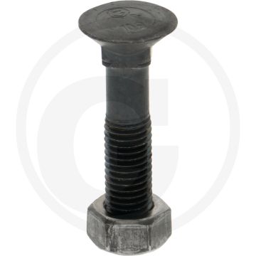 Blister ploegbout m12x60-10.9 rond met vierkante kop