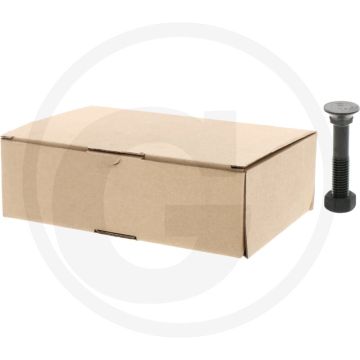 Boulon de charrue avec écrou (M12 x 70)