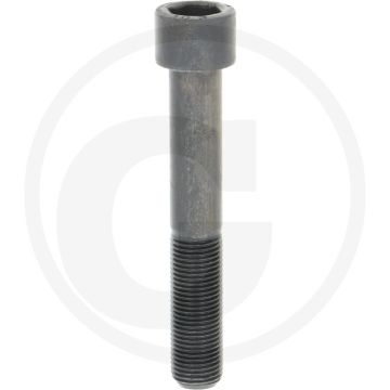 Zylinderschraube met geharde slijtdelen - GRANIT Endurance Carbide