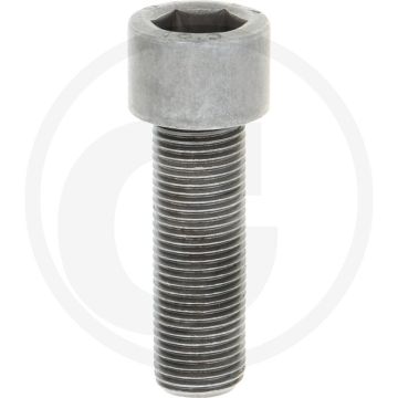 Zylinderschraube met geharde slijtdelen - GRANIT Endurance Carbide