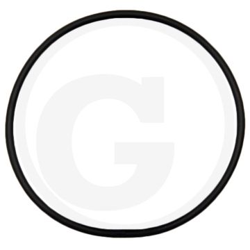 O-ring (Ø 80 x 3 mm)