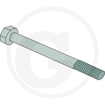 Bout (M10 x 120 mm, met moer)