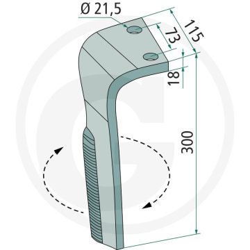 Dent de la tête de rotor (gauche, enrobée)
