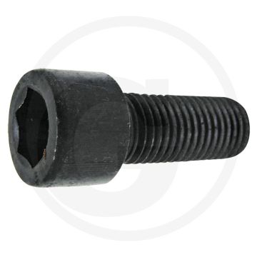 Binnenzeskant bout (M16 x 2 x 55 mm, 12.9)