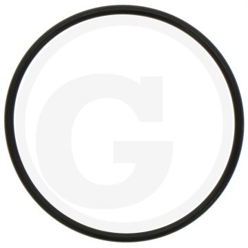 O-ring (45 x 2 mm)