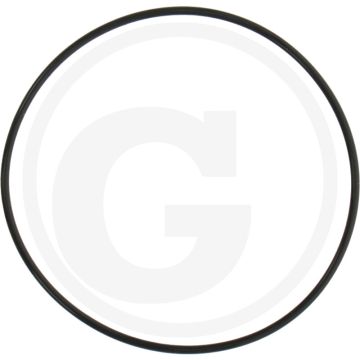 O-ring (65 x 1,8 mm)