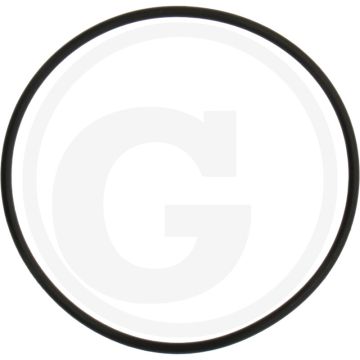 O-ring (55 x 2 mm)