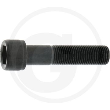 Nummerplaatbouten (M16x1,5x70 12.9)