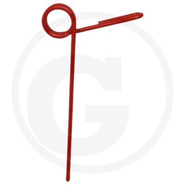 Eggetand (achter)