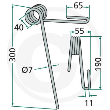 Eggetand (voor, 15°)