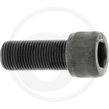 Rayco Bout (1 1/2")