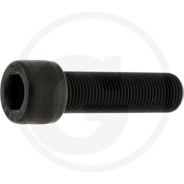 Rayco Bout (2 1/4")