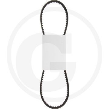 Riemen voor Rayco RG25HD stobbenfrezen