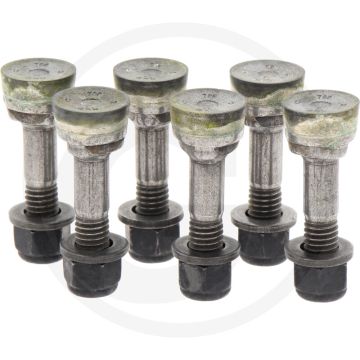 Toro Schleifzahn-Kit (6er Pack) voor Toro stobbenfrezen