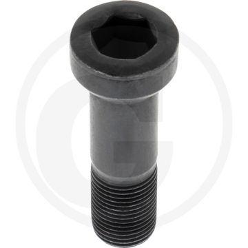 Toro Schraube 18x2.5 - passend voor Toro. Lengte: 18mm.