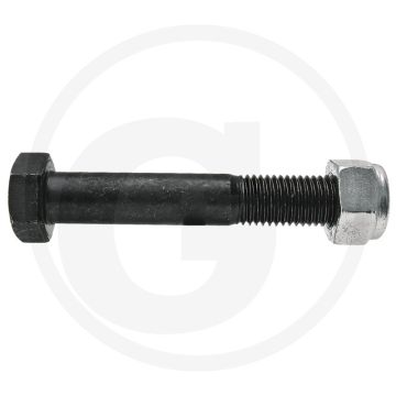 Bout met moer (M20 x 2,5 x 120 mm, 10.9)