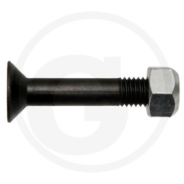 Bout met borgmoer (M12 x 65 mm 10.9)
