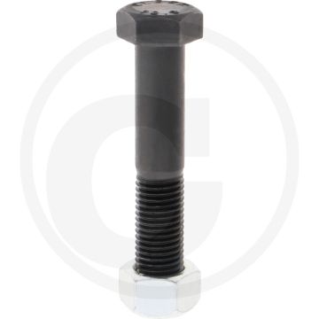 Bout met moer (M20 x 2,5 x 110 mm 10.9)