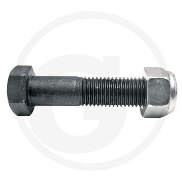 Bout met moer (M16 x 2 x 70 mm, 10.9)