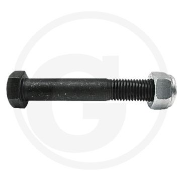 Bout met moer (M16 x 2 x 100 mm, 10.9)