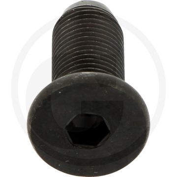 BOUT M 12X1.25X30 10.9 - L30, M12 x 1,25, Bisonte