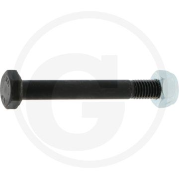 Bout met borgmoer (M10 x 1,5 x 80 mm)