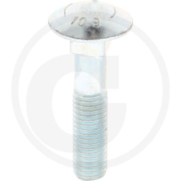 Vis (M12 x 55 mm)