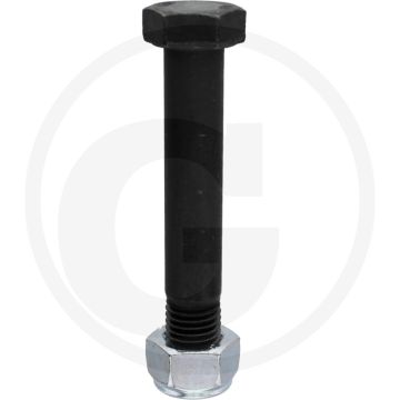 Bout met borgmoer (M20 x 2,5 x 120 mm, 10.9)