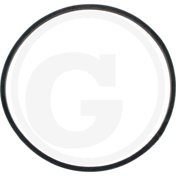 Riemen - Referentienr.: E515A0403CE1