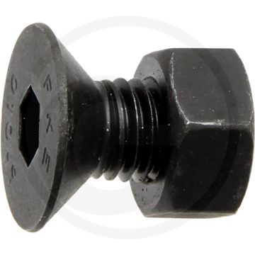 Bout met moer (voor schaarpunt 15 x 550 mm)