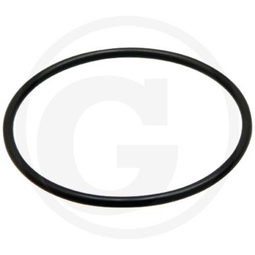 O-ring (Ø: 62 x 3 mm)
