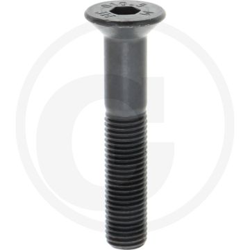 Schraube M16 10.9 - 90mm Länge