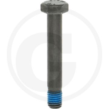 Schroef ( DIN 931 - M12 x 77 - 10.9)