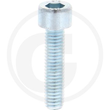 Dücker Zylinderschraube (DIN 912 - M6 x 25)
