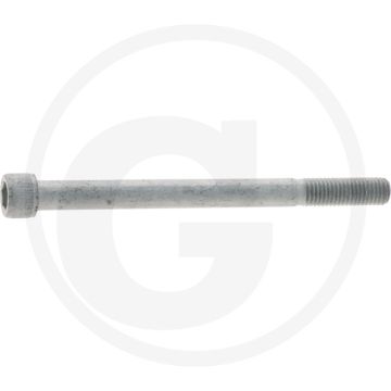 Horsch Cilindrische binnenzeskantbout (met binnenzeskantbout, M12 x 150 mm)